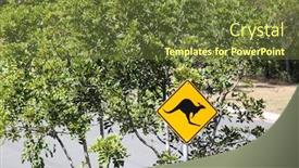  Presentation with residential - Presentation theme featuring road sign awareness of kangaroos in the local residential area australia background and a tawny brown colored foreground