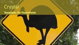  Presentation with railroad crossing railroad crossing sign - Presentation theme having road sign for cassowary bird crossing in forest background and a tawny brown colored foreground