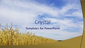  Presentation with wheat - Presentation with road-through-the-wheat-field background and a light blue colored foreground