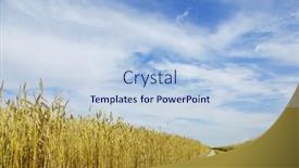  Presentation with wheat - Presentation consisting of road-through-the-wheat-field background and a light blue colored foreground