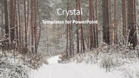  Presentation with winter forest - Colorful PPT layouts enhanced with road-through-winter-forest backdrop and a gray colored foreground