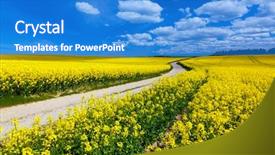  Presentation with blue yellow - Beautiful PPT theme featuring road ways - countryside spring field landscape backdrop and a teal colored foreground