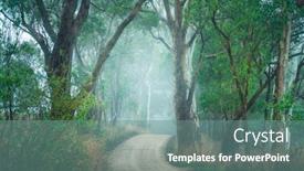  Presentation with forest road - Audience pleasing slide deck consisting of road-winding-through-a-beautiful backdrop and a seafoam green colored foreground