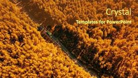  Presentation with forest road - Presentation theme featuring road-with-a-passing-car background and a tawny brown colored foreground