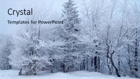  Presentation with trees - Beautiful slide deck featuring roads black white - winter trees backdrop and a light blue colored foreground