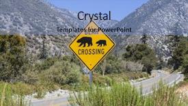  Presentation with highway road sign - Beautiful presentation theme featuring roadside safety - bear crossing caution highway sign backdrop and a light blue colored foreground
