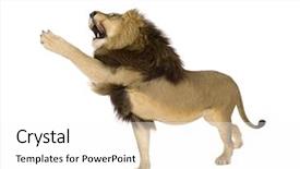  Presentation with lion - Slide deck featuring roar - lion 4 and a half background and a white colored foreground