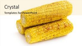  Presentation with corn - Theme having roasted corn on white background background and a yellow colored foreground