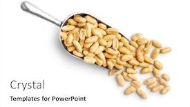  Presentation with peanuts - Theme enhanced with roasted-peeled-peanuts-in-scoop background and a white colored foreground