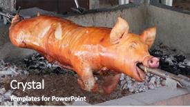  Presentation with festivals - Colorful slides enhanced with roasted pig on traditional philippines backdrop and a tawny brown colored foreground