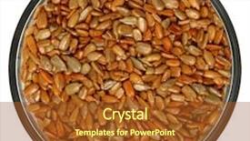  Presentation with sunflower - Slides consisting of roasted salted sunflower seeds background and a tawny brown colored foreground