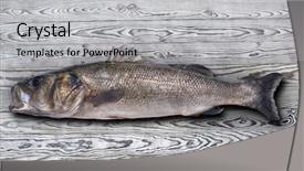  Presentation with wooden boat at sea edge - Colorful PPT theme enhanced with robalo fish wild big size backdrop and a light gray colored foreground
