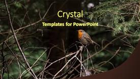  Presentation with hidden - PPT layouts with robin-observes-the-surroundings-hidden background and a wine colored foreground