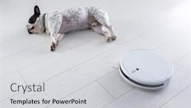  Presentation with robotic - Colorful PPT layouts enhanced with robotic-vacuum-cleaner-hoovering-home backdrop and a light gray colored foreground