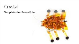  Presentation with shot - Slides enhanced with robots leg - cute little techno bug shot background and a white colored foreground