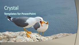  Presentation with rock - Cool new presentation design with rock above the sea eating backdrop and a  colored foreground