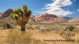  Presentation with las vegas nevada - Colorful PPT layouts enhanced with rock canyon in the distance backdrop and a gold colored foreground