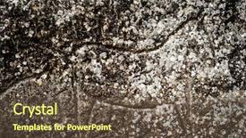  Presentation with petroglyphs - Beautiful PPT layouts featuring rock carvings petroglyphs of hourses backdrop and a tawny brown colored foreground