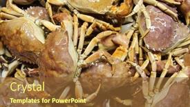  Presentation with rock stone - Cool new slide set with rock-crab-aka-stone-crab backdrop and a tawny brown colored foreground