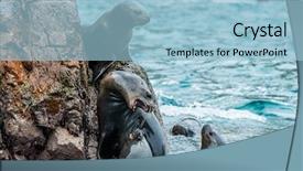  Presentation with lions - Slide deck featuring rock in the peruvian background and a  colored foreground