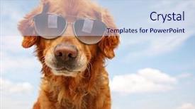  Presentation with river - Audience pleasing slides consisting of rock layers - cute golden retriever backdrop and a sky blue colored foreground