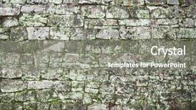  Presentation with moss - Colorful presentation theme enhanced with rock texture with green moss backdrop and a gray colored foreground