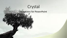  Presentation with lonely - Amazing presentation theme having rock top mixed media backdrop and a  colored foreground