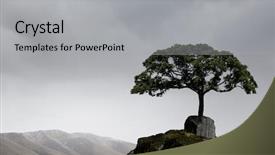  Presentation with lonely - Beautiful theme featuring rock top mixed media backdrop and a  colored foreground