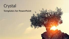  Presentation with lonely - PPT layouts with rock top mixed media background and a  colored foreground