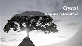  Presentation with lonely - Audience pleasing PPT theme consisting of rock top mixed media backdrop and a  colored foreground