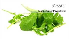  Presentation with rocket - PPT theme having rocket salad isolated on white background and a white colored foreground