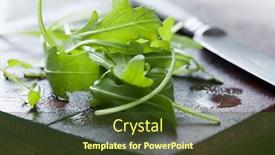  Presentation with war rocket - Beautiful theme featuring rocket salad backdrop and a tawny brown colored foreground