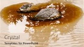  Presentation with sand ocean - Presentation design having rocks-and-sand-background-winter background and a coral colored foreground