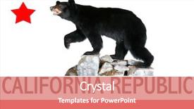  Presentation with black bear - Amazing slide set having rocks featuring the official flag backdrop and a coral colored foreground