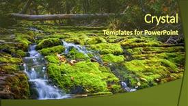  Presentation with moss - Colorful presentation enhanced with rocks in forillon national park backdrop and a tawny brown colored foreground