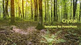  Presentation with rocks - PPT layouts featuring rocks national lakeshore in michigan background and a tawny brown colored foreground