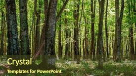  Presentation with rocks - Slides having rocks national lakeshore in michigan background and a tawny brown colored foreground