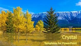  Presentation with abraham - Amazing PPT layouts having rocky - small birch grove backdrop and a tawny brown colored foreground