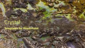  Presentation with rocky - Colorful slide deck enhanced with rocky-coastline-textures-view backdrop and a tawny brown colored foreground