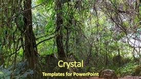  Presentation with rocky mountains - Presentation featuring rocky jungle in chiang dao background and a tawny brown colored foreground