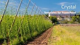  Presentation with czech republic - PPT theme having rococo-castle-steknik-with-hop background and a  colored foreground