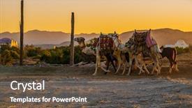  Presentation with sunset beach - Slides featuring rode on them - marsa alam background and a tawny brown colored foreground