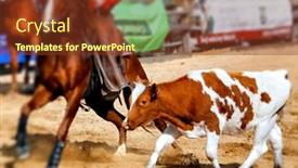  Presentation with rodeo - Presentation design enhanced with rodeo show showing steer roping background and a tawny brown colored foreground