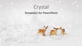  Presentation with snow blizzard in winter - Colorful slide set enhanced with roe-deer-group-in-winter backdrop and a white colored foreground