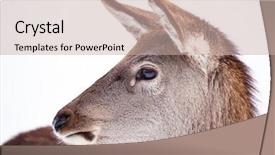  Presentation with snow blizzard in winter - Colorful slide deck enhanced with roe deer in winter snow backdrop and a soft green colored foreground