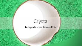  Presentation with toilet - Amazing theme having roll-of-toilet-paper-green backdrop and a  colored foreground