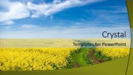  Presentation with rolling hills - PPT layouts featuring rolling hills - canola field background and a light blue colored foreground