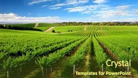  Presentation with colonialism in south asia - PPT theme having rolling hills - vineyard in one tree hill background and a tawny brown colored foreground