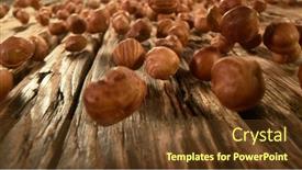  Presentation with hazelnuts - Beautiful presentation featuring rolling-whole-hazelnuts-placed backdrop and a tawny brown colored foreground