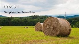  Presentation with straw - Audience pleasing theme consisting of feed store - rolls of straw backdrop and a sky blue colored foreground